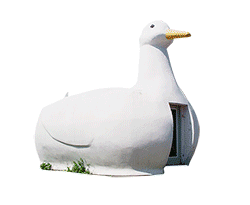 duck360-oliviercablat
